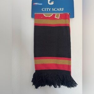Eclipse Striped San Francisco Scarf with Fringe